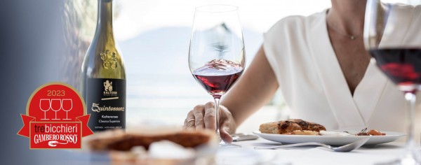 | Rotweine | Südtiroler Südtiroler CLASSICO beim DOC | SUPERIORE Südtiroler 2022 Quintessenz KALTERERSEE Spezialitäten Weine Onlineshop